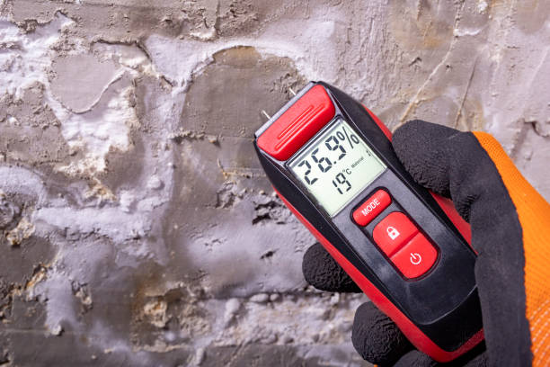 Best Certified Mold Removal  in Jeanerette, LA