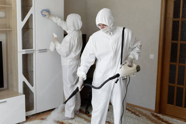 Certified Mold Removal in Jeanerette, LA